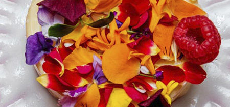 REPUTACION-ONLINE-PARA-RESTAURANTES