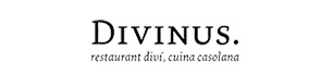 divinus_logo